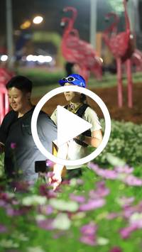 BIB:  <button type="button" onclick="openModal(27589914)" class="btn btn-primary btn-sm float-right" data-toggle="modal" data-target=".modal-high-quality">
                <i class="fa fa-download"></i> Download
                </button>